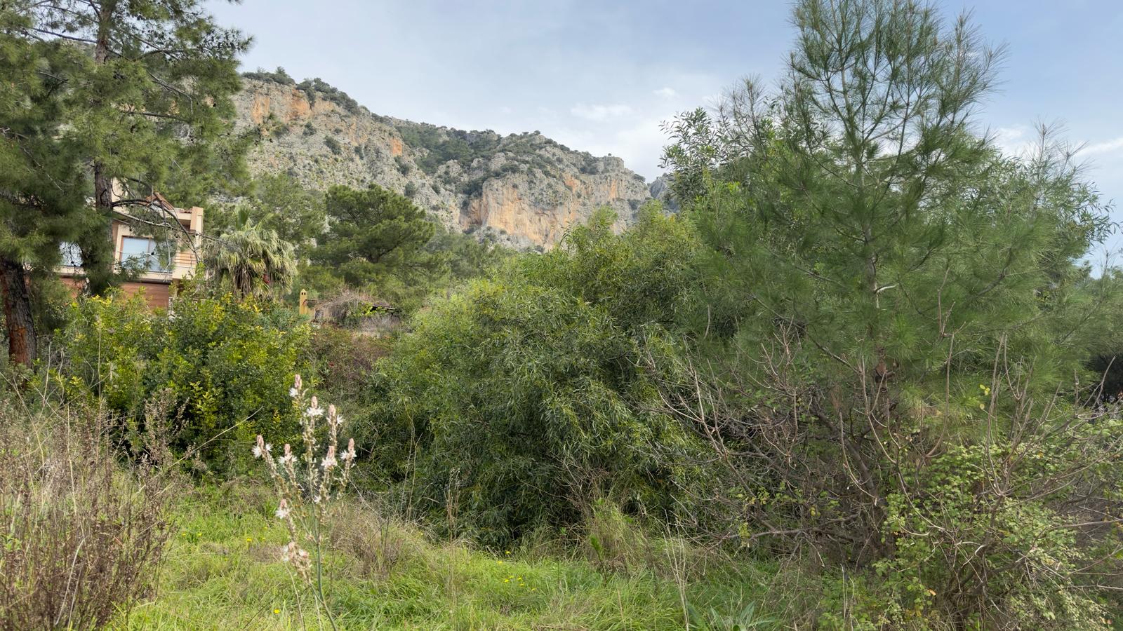 Prime Location Land in Gocek Slide Image 3