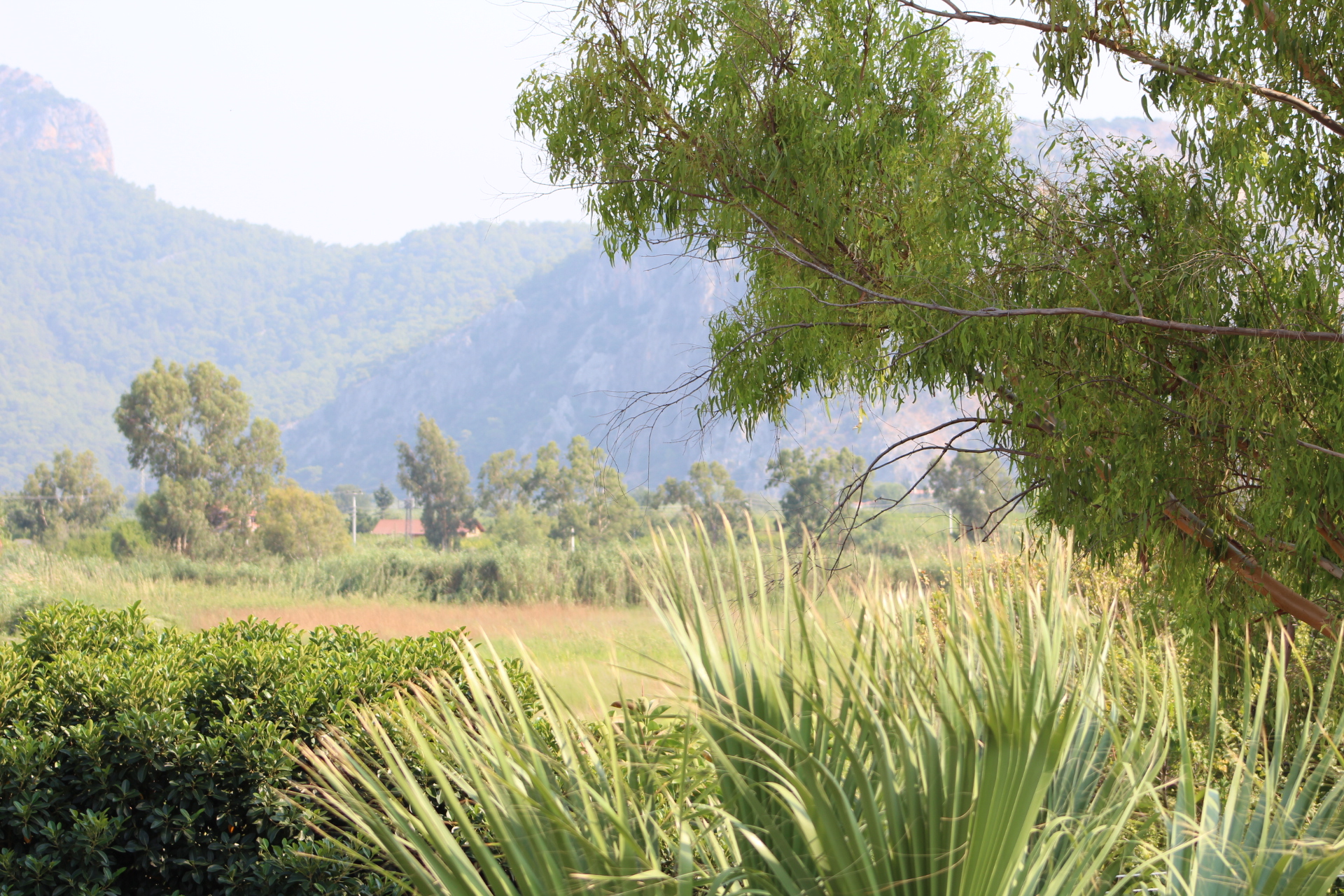 Spacious Private Dalyan Villa Slide Image 37