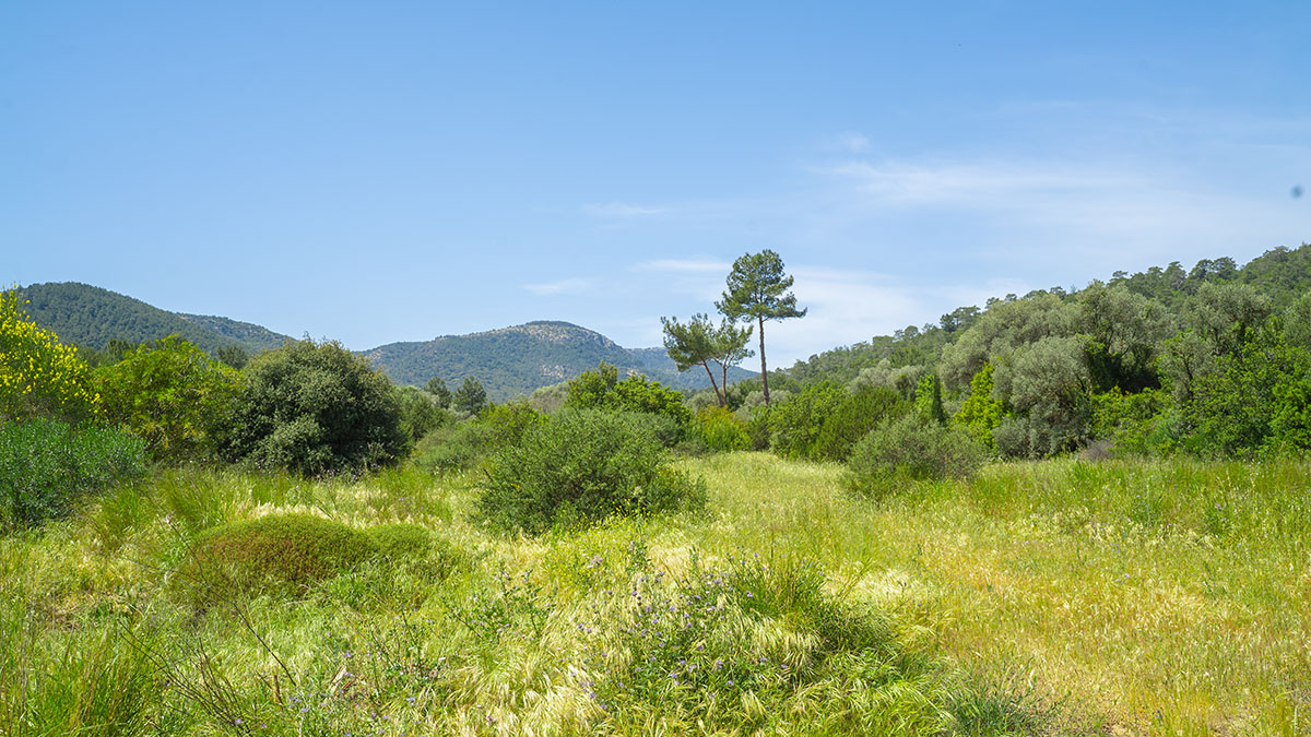 Secluded Luxury Stone-Built Villas Slide Image 68