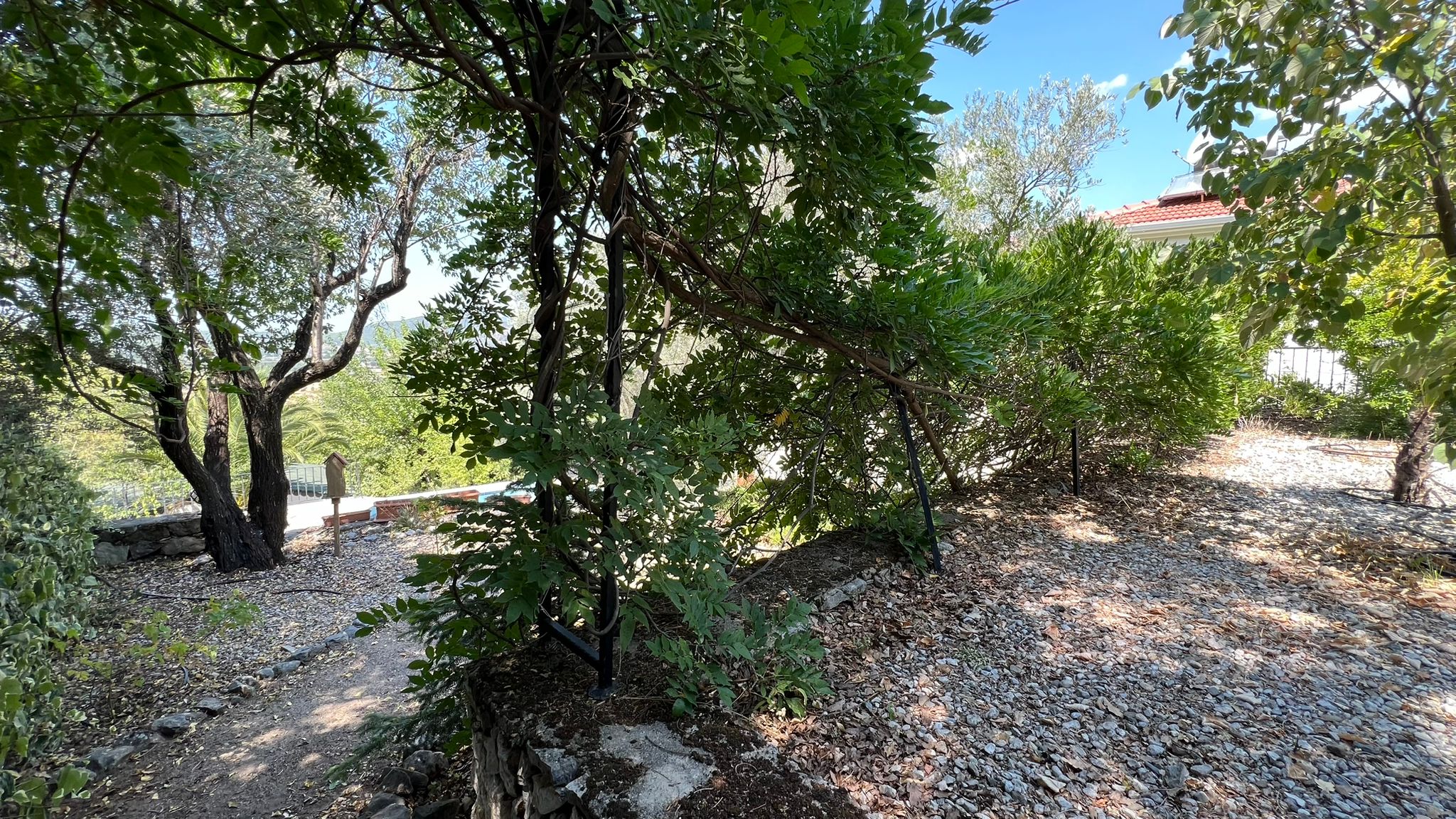 Traditional Style Uzumlu House Slide Image 18