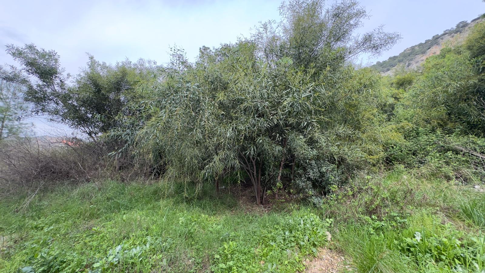 Prime Location Land in Gocek Slide Image 5